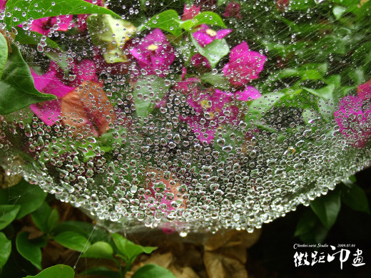 42424 (a): :1600x1200